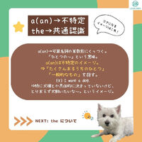 画像1419
