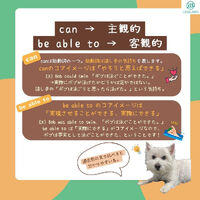 画像1438