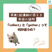 画像1457