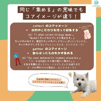 画像1458