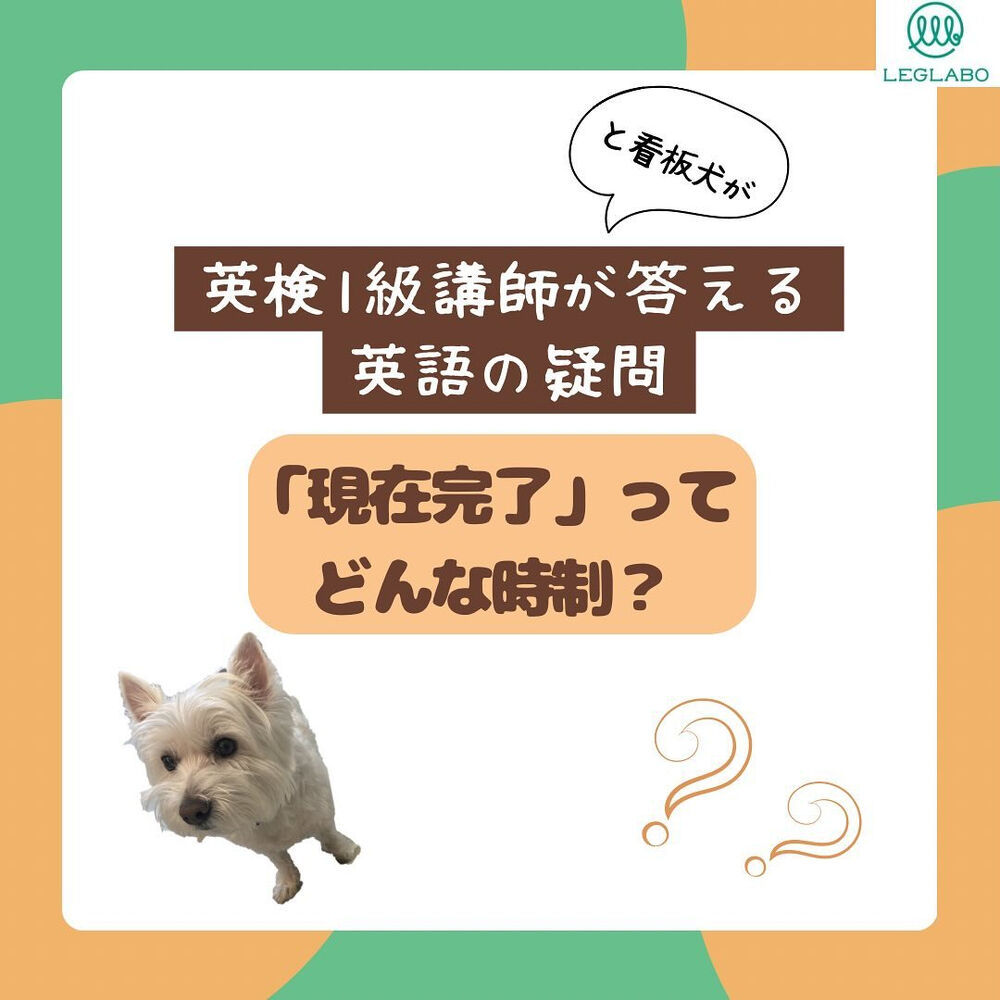 画像1485