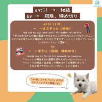 画像1493