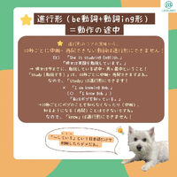 画像1499