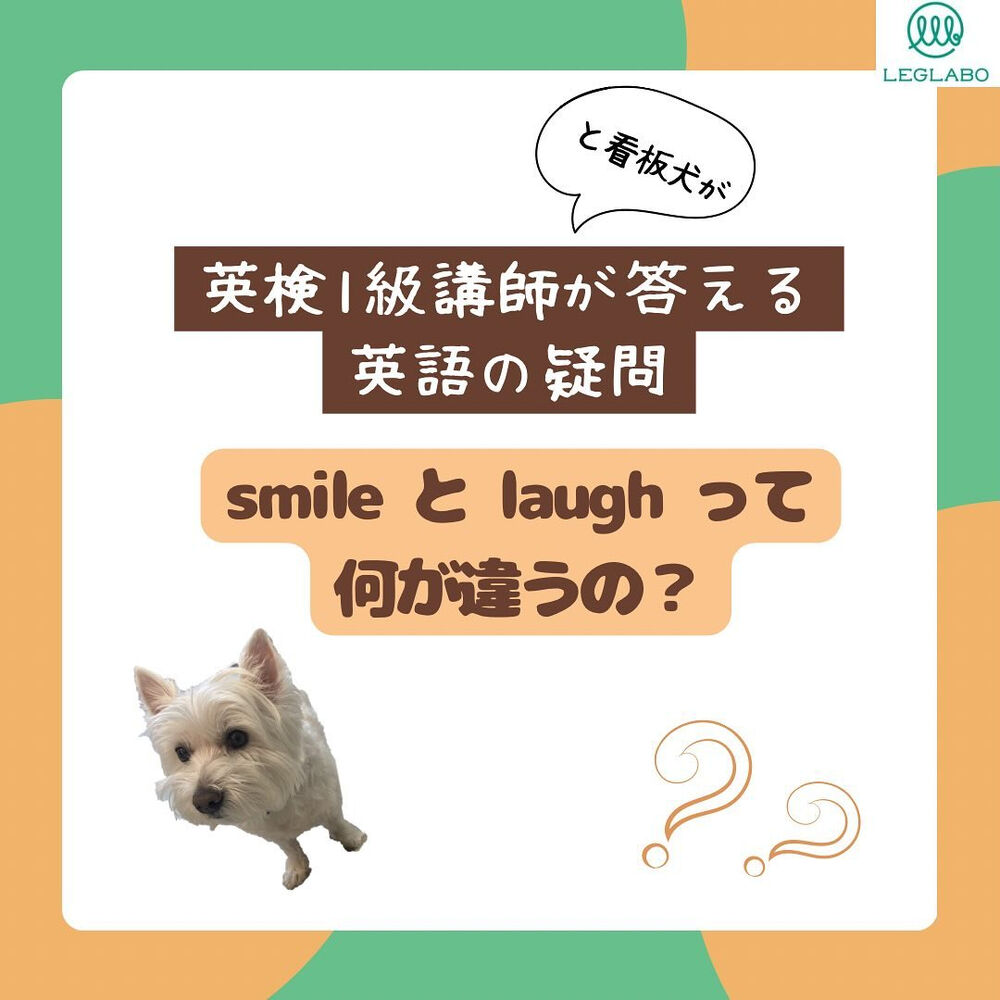画像1512