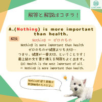 画像1534