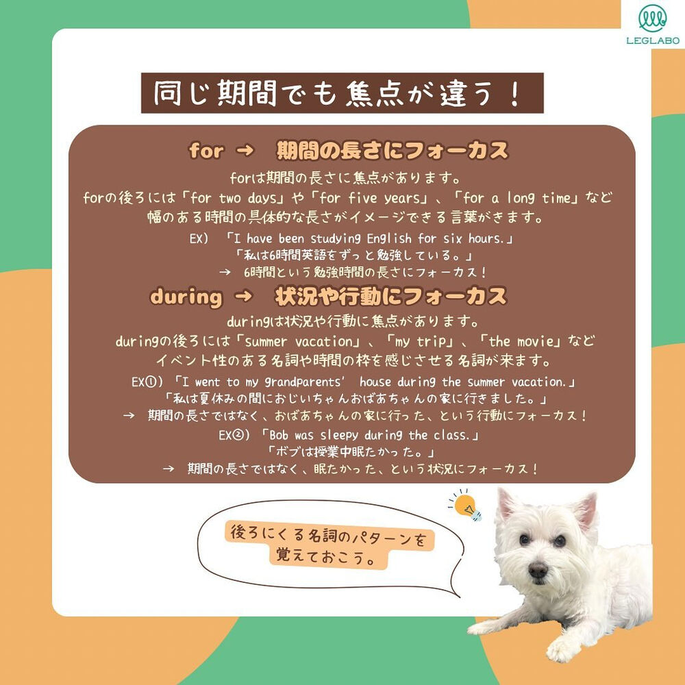 画像1541