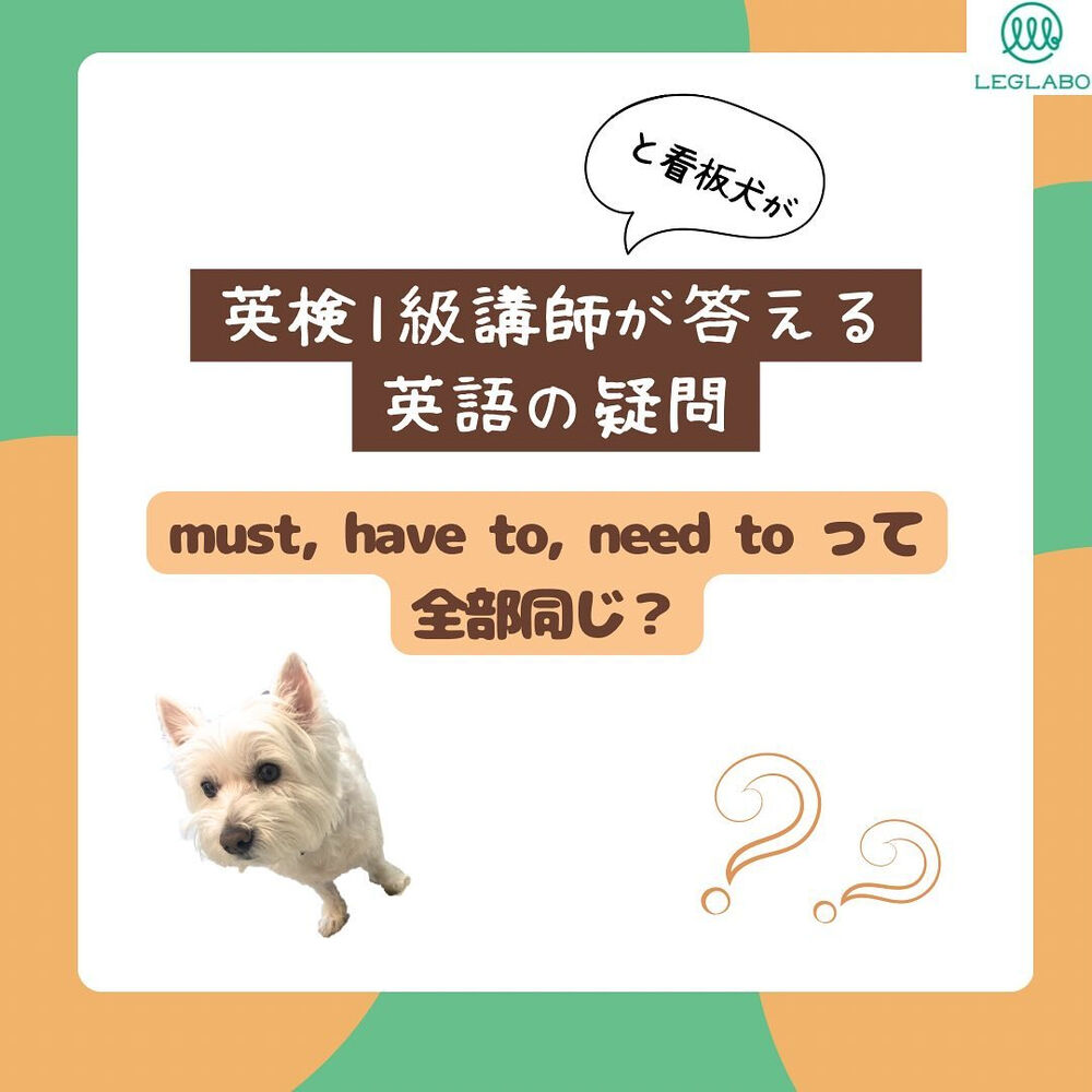 画像1597