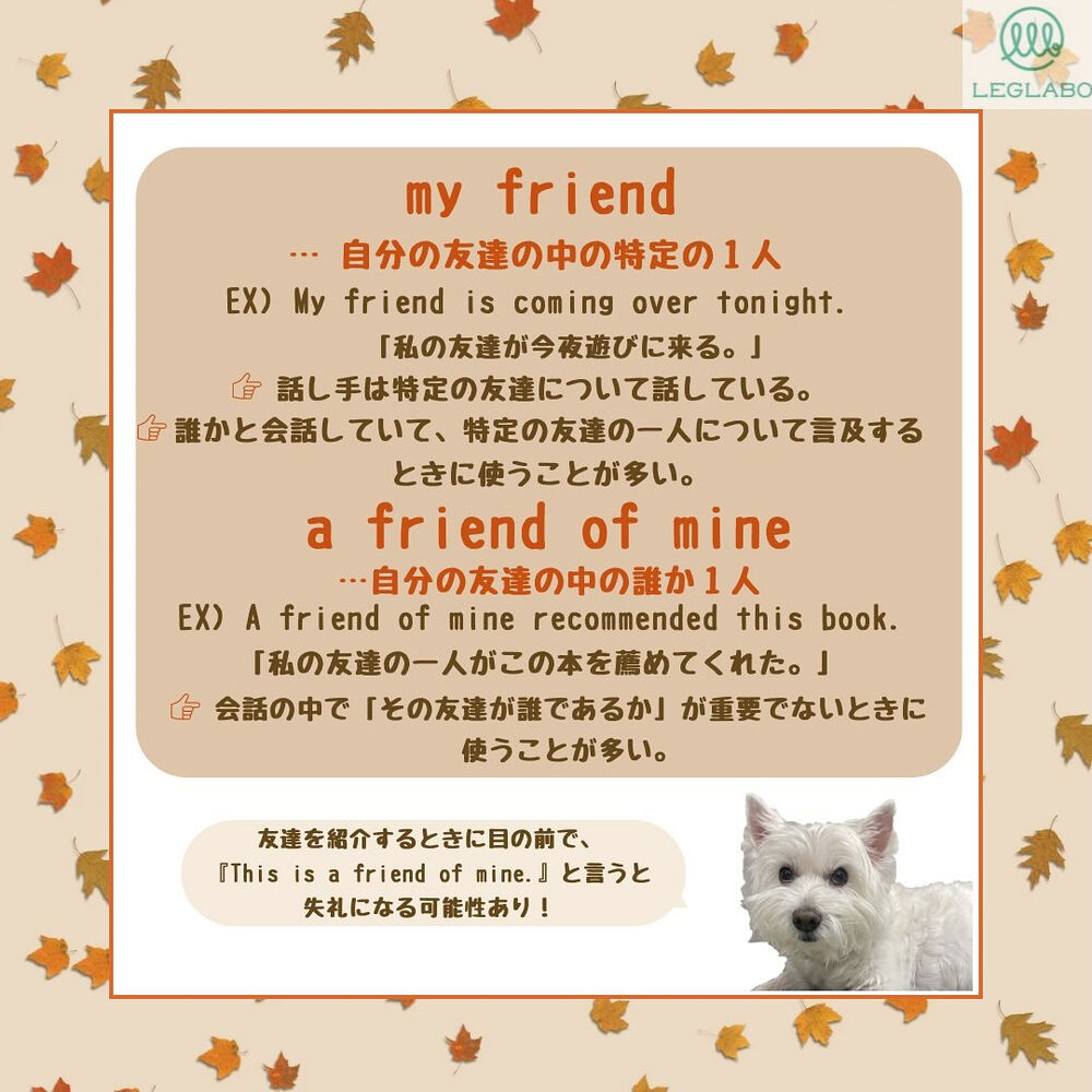 画像2077