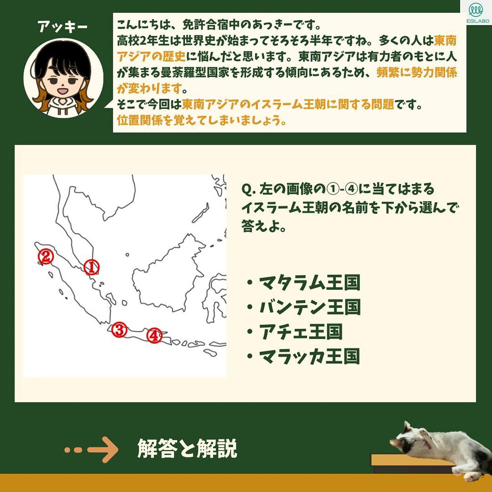 画像2082
