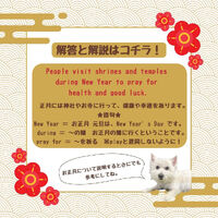 画像2128