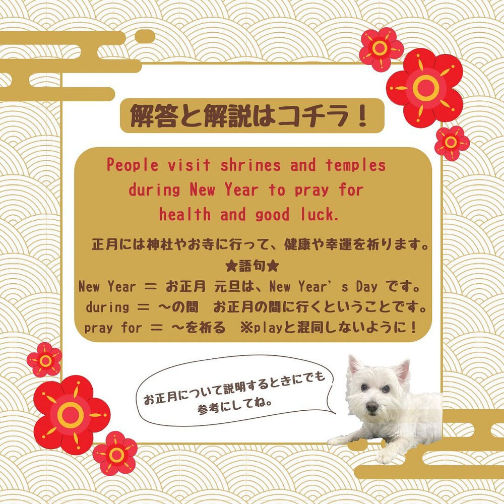 画像2128