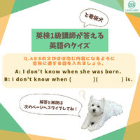 画像2137